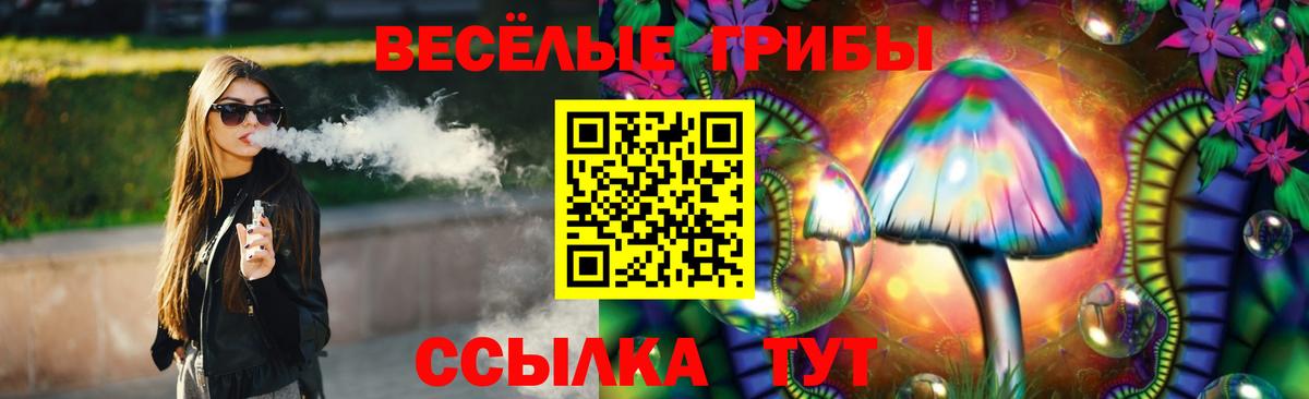Галлюциногенные грибы Psilocybe Лангепас